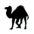 Perl